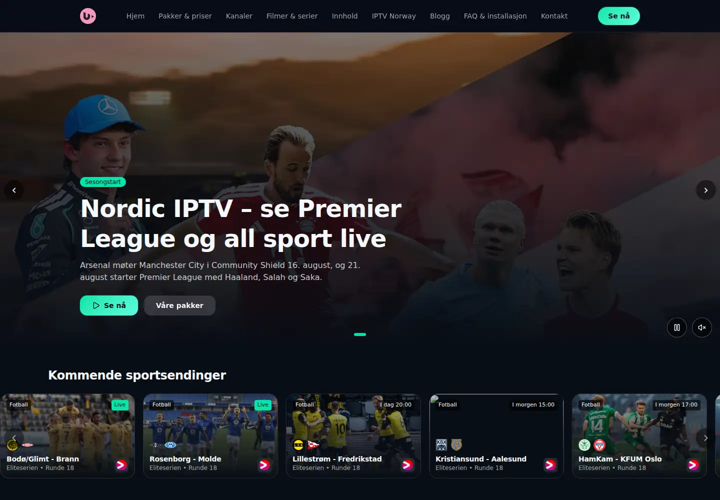 Screenshot of norblogg.net
