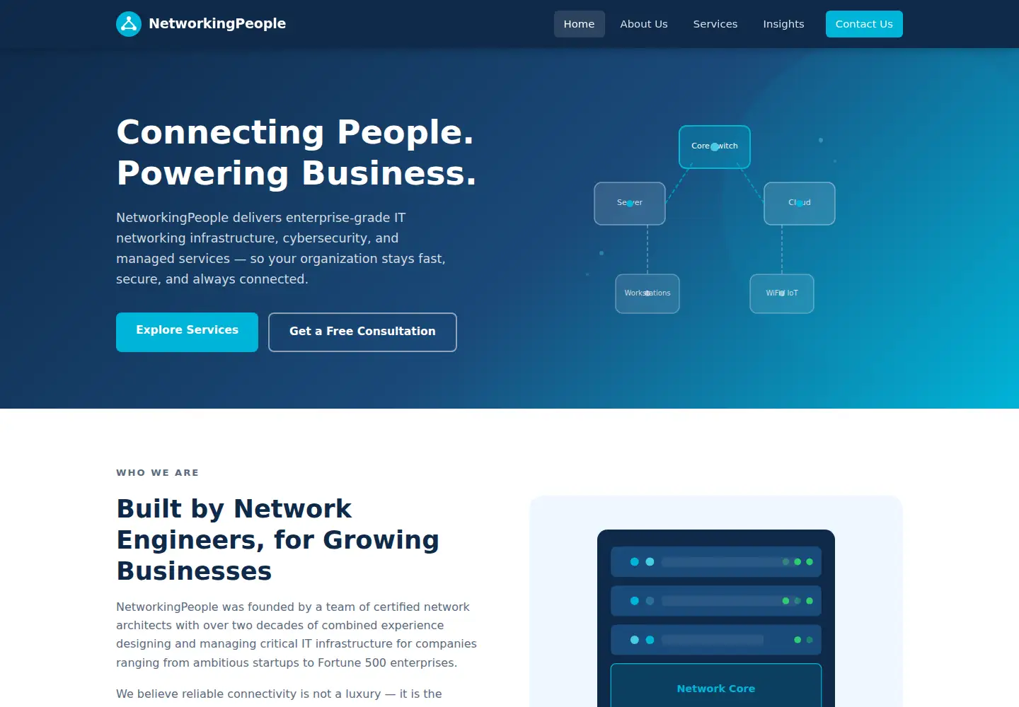Captured homepage of networkingpeople.biz in the current scan