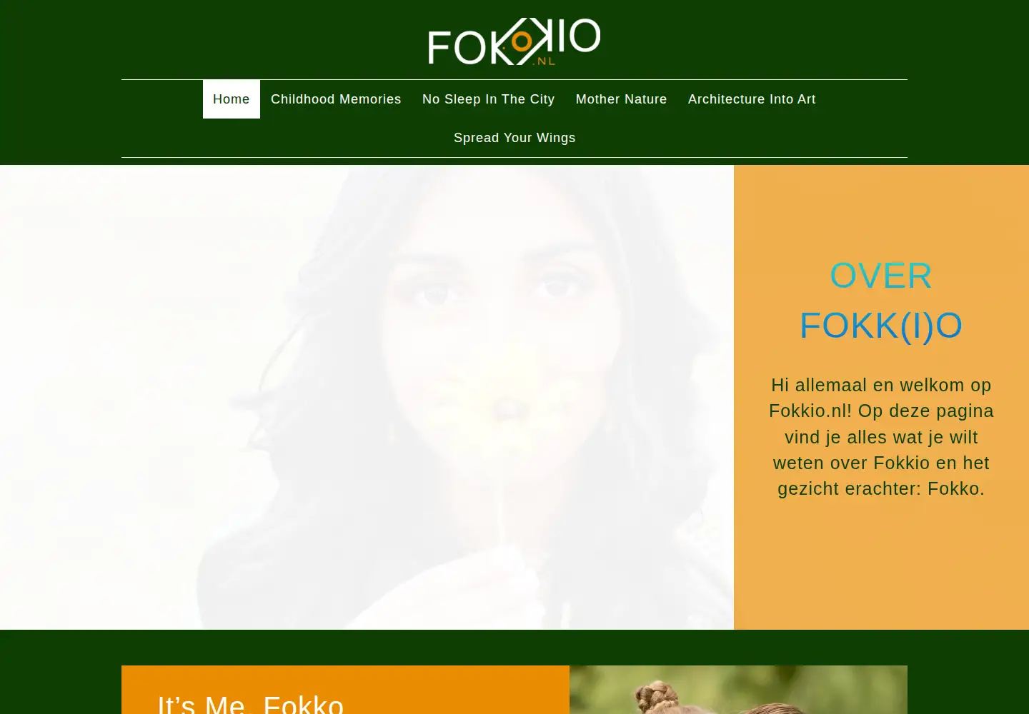 Captured homepage of fokkio.nl in the current scan