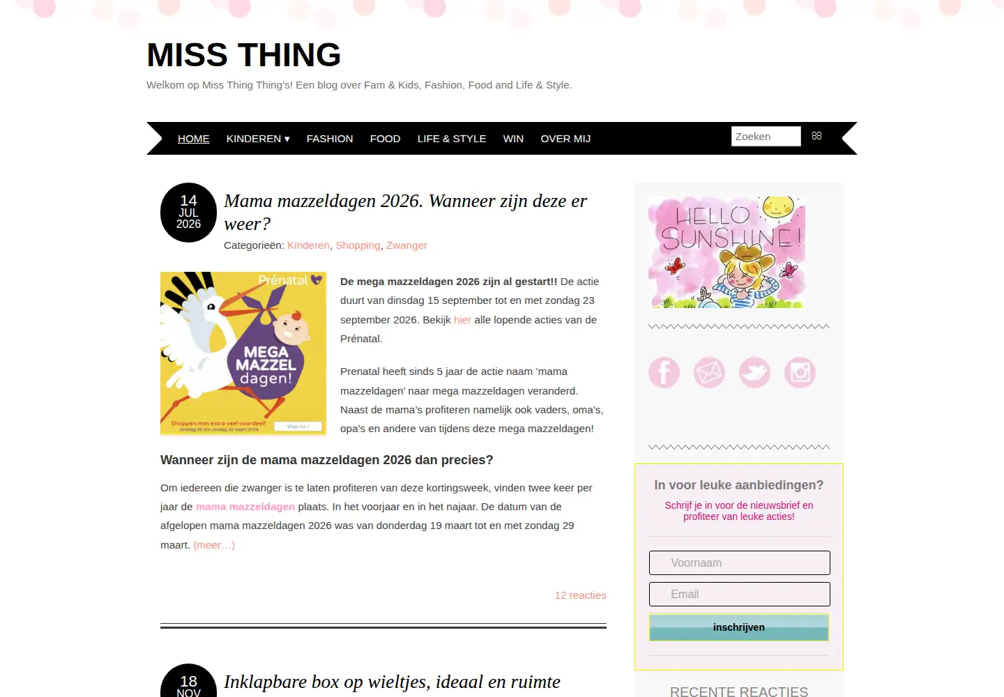 Screenshot of missthing.nl