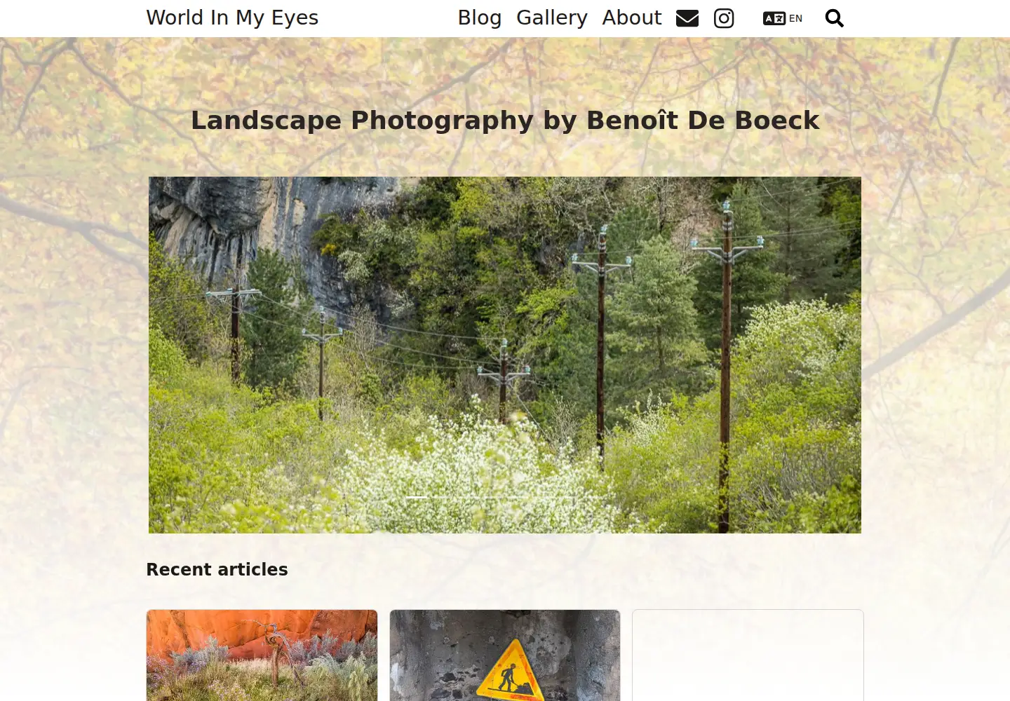 Captured homepage of worldinmyeyes.be in the current scan