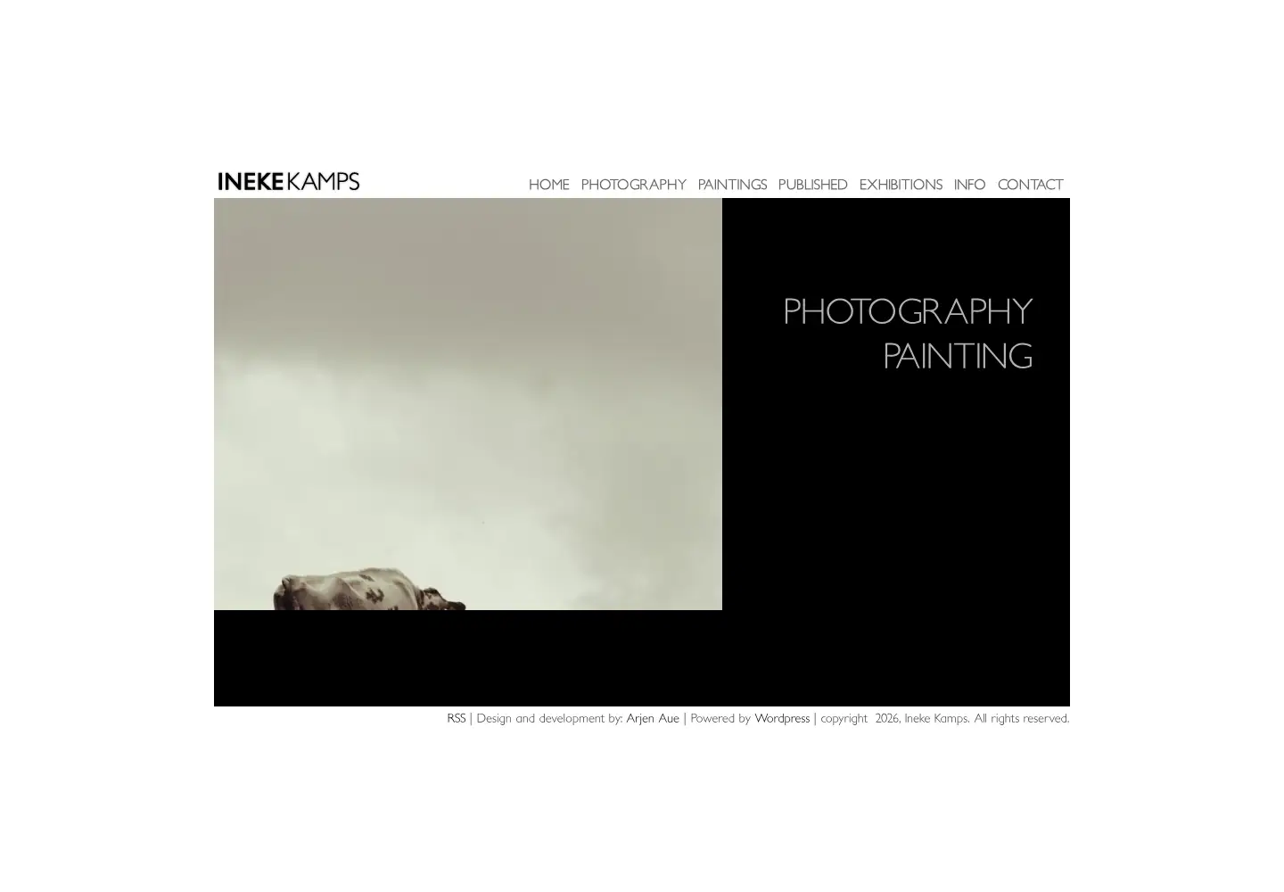 Captured homepage of inekekamps.com in the current scan