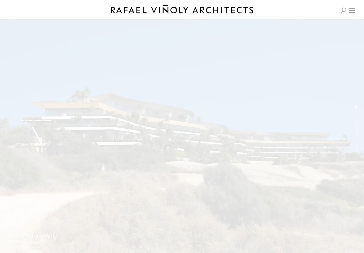 Screenshot of vinoly.com