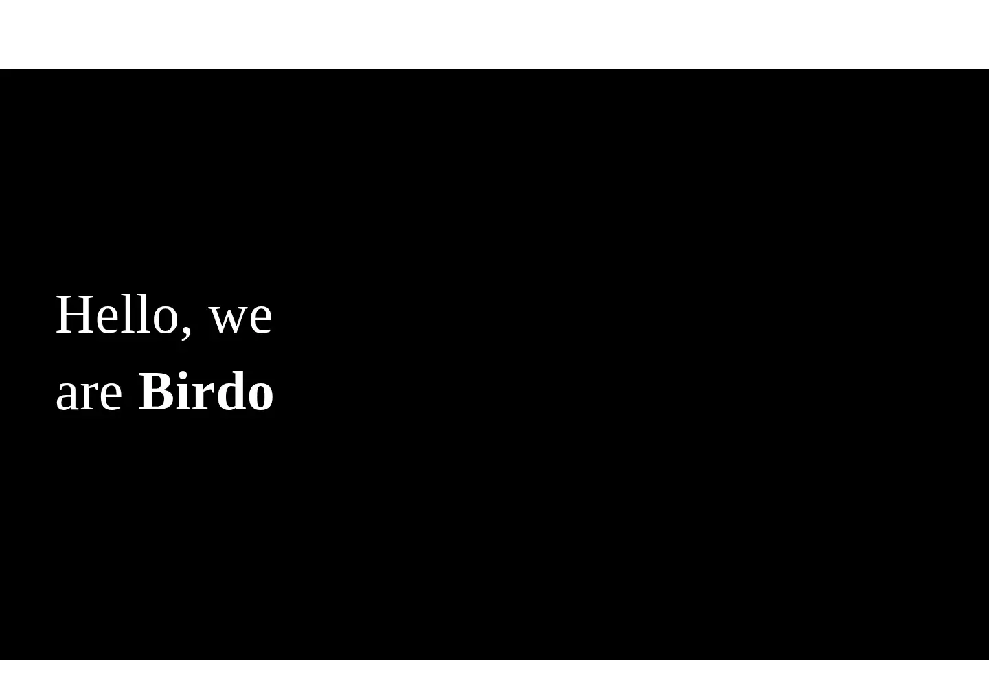 Captured homepage of birdo.com.br in the current scan