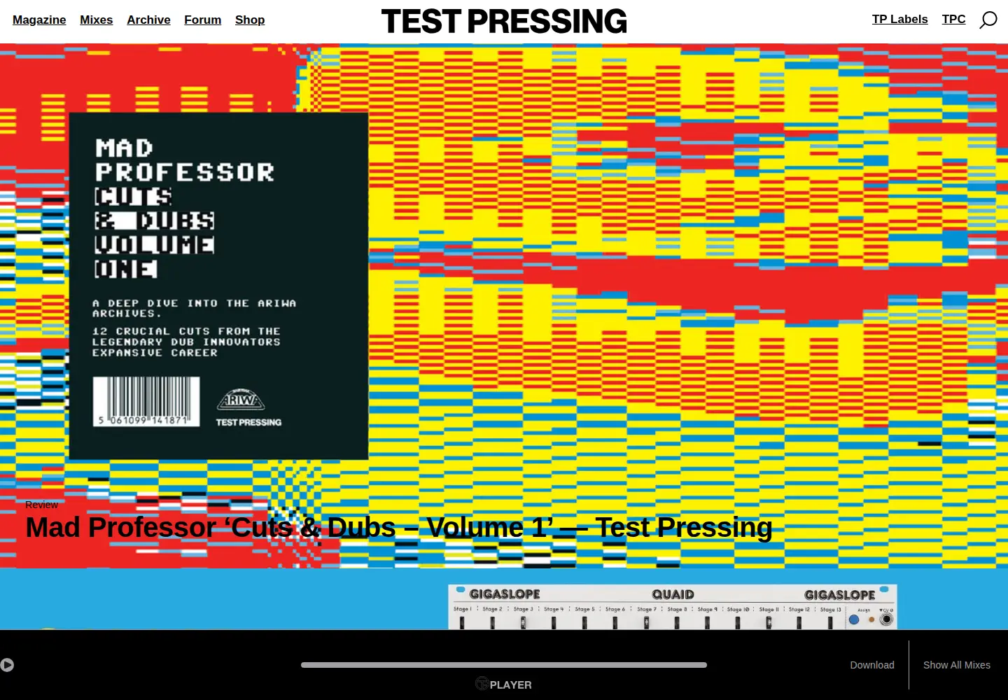 Captured homepage of testpressing.org in the current scan