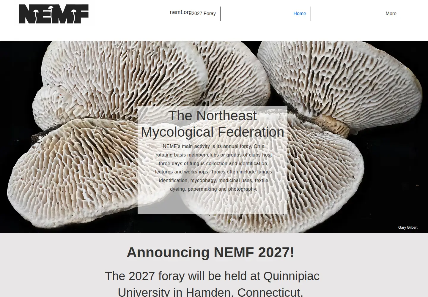 Screenshot of nemf.org