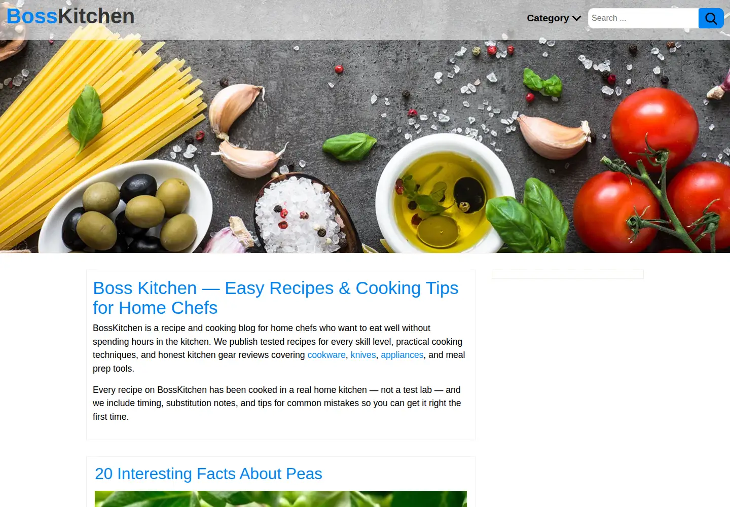 Screenshot of bosskitchen.com