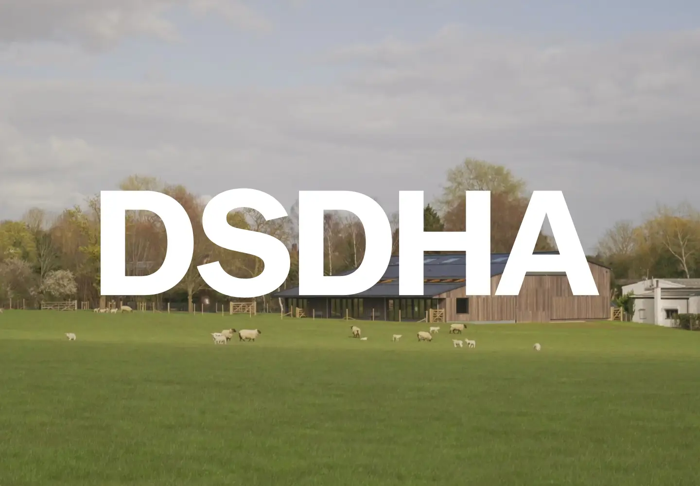 Captured homepage of dsdha.co.uk in the current scan