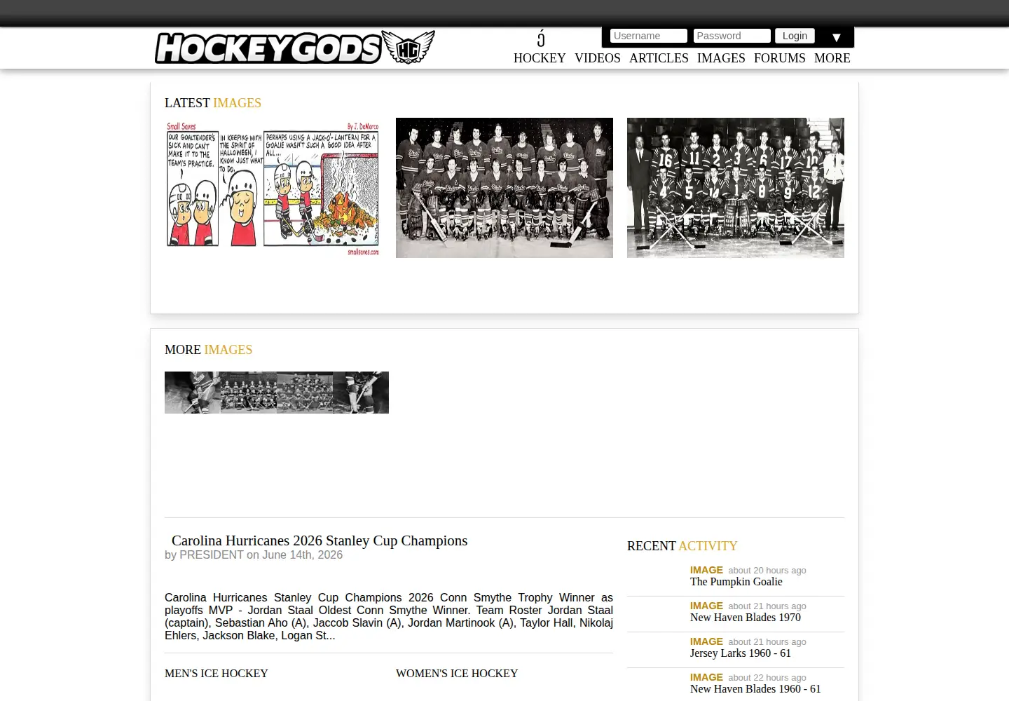 Captured homepage of hockeygods.com in the current scan