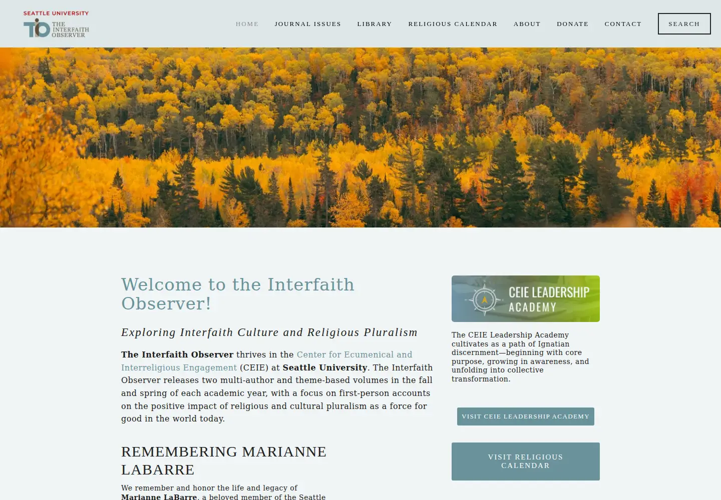 Screenshot of theinterfaithobserver.org