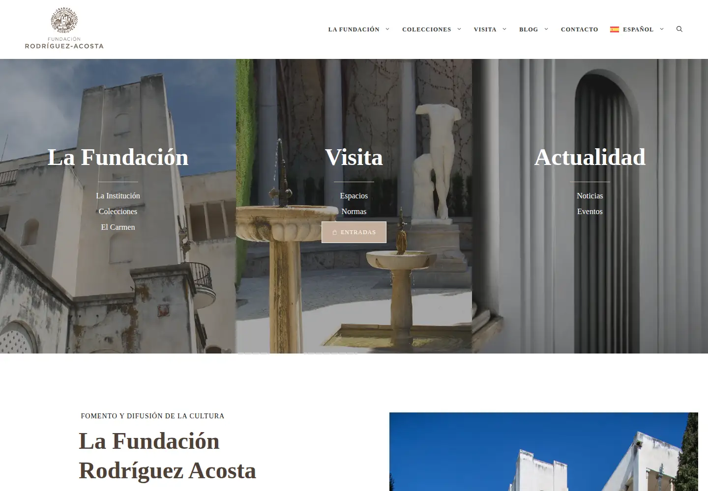 Screenshot of fundacionrodriguezacosta.com