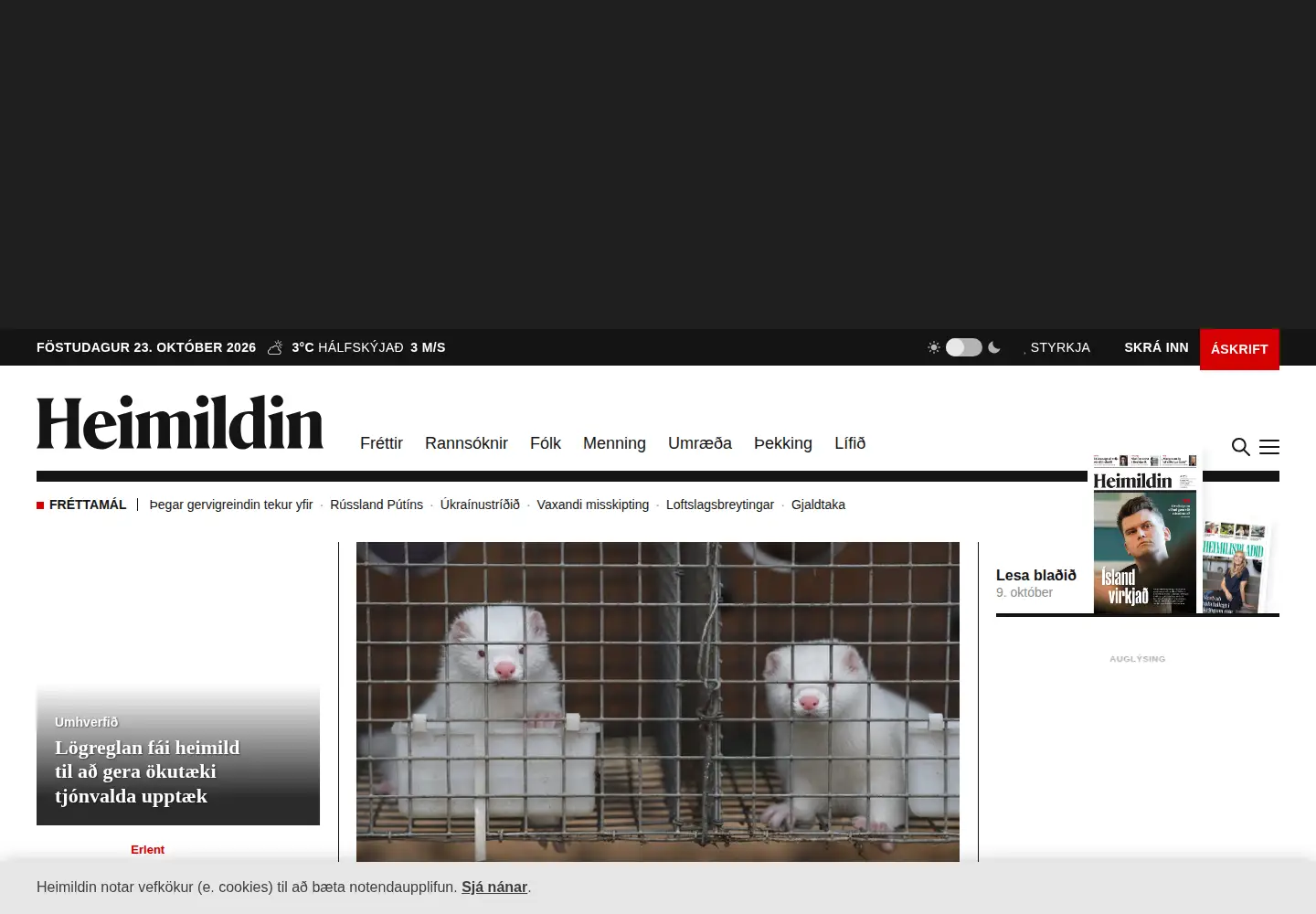 Captured homepage of stundin.is in the current scan