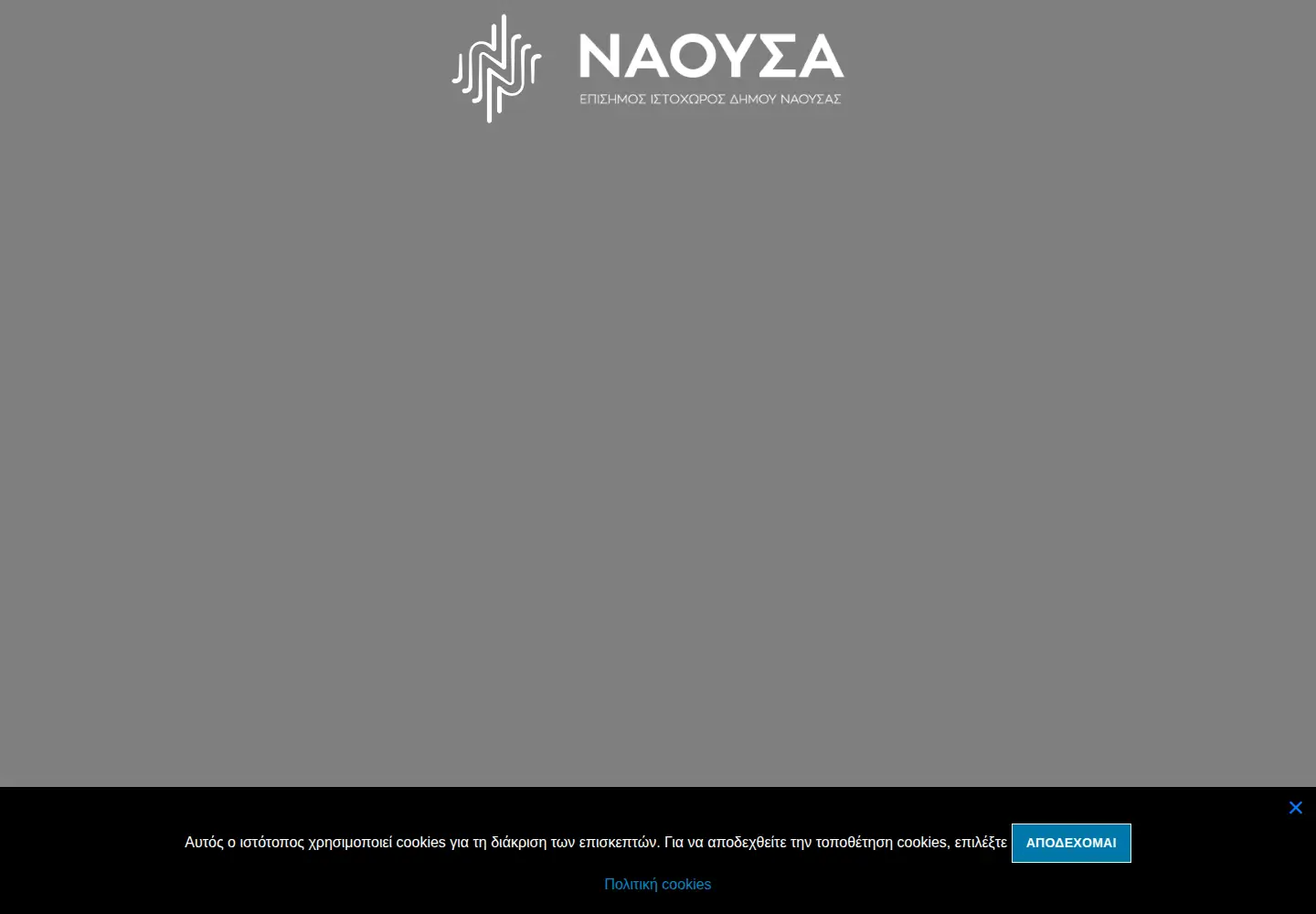 Captured homepage of naoussa.gr in the current scan