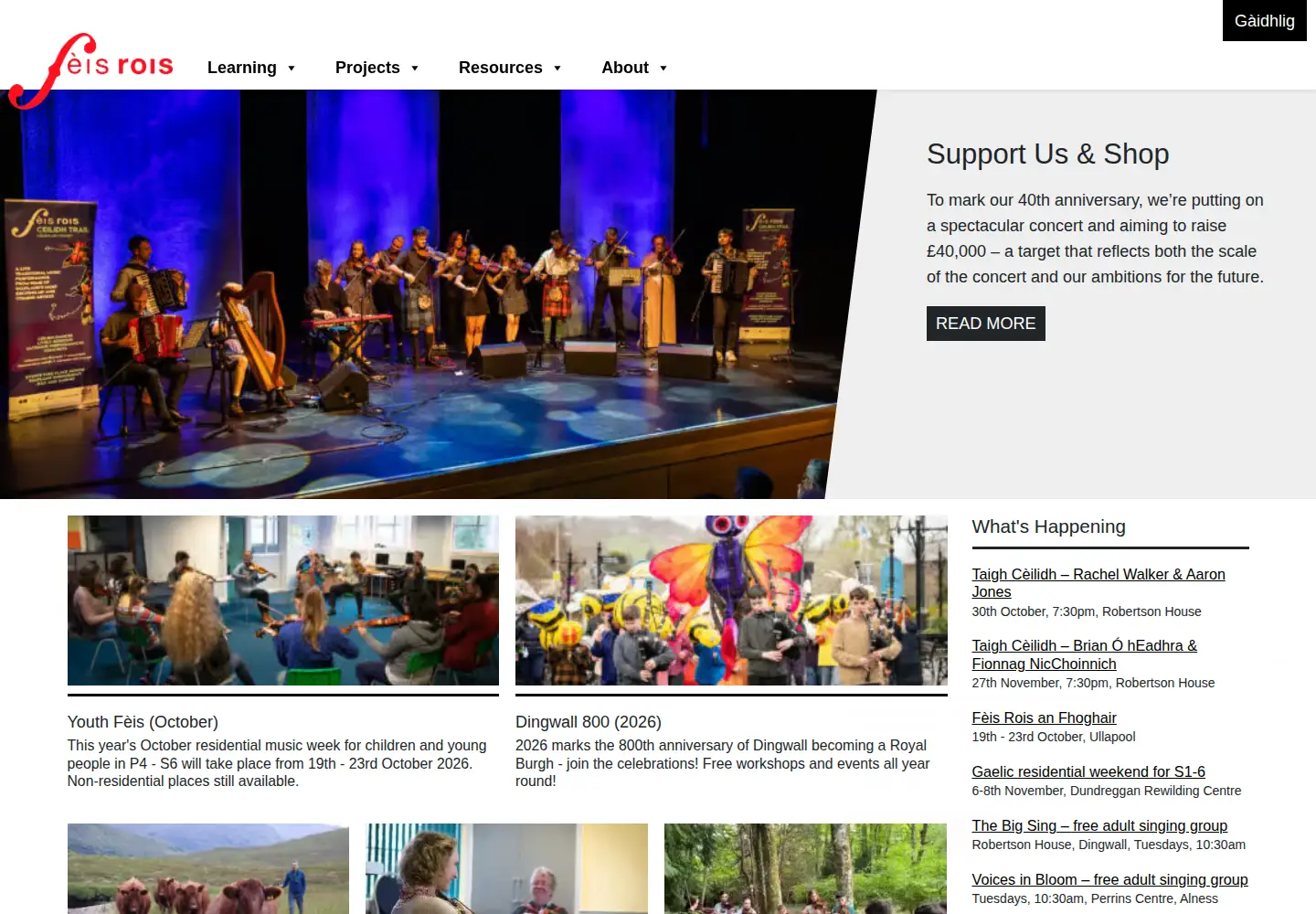 Screenshot of feisrois.org