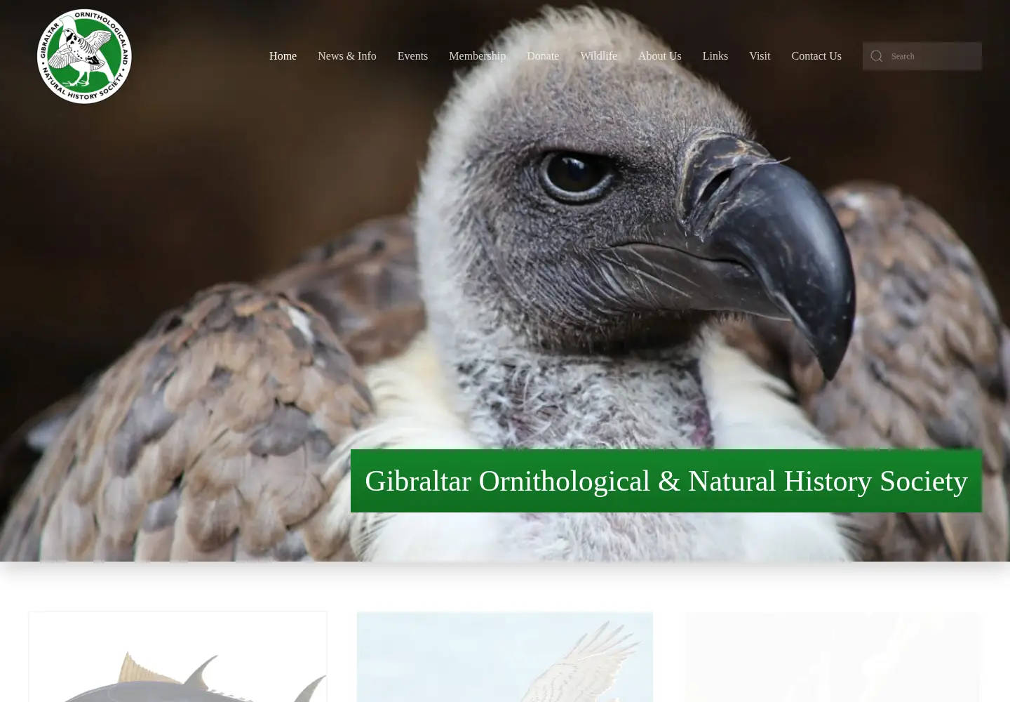 Captured homepage of gonhs.org in the current scan