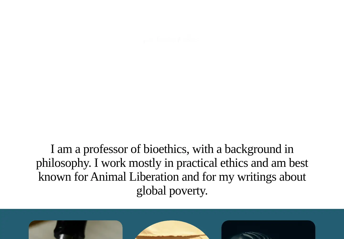 Screenshot of petersinger.info