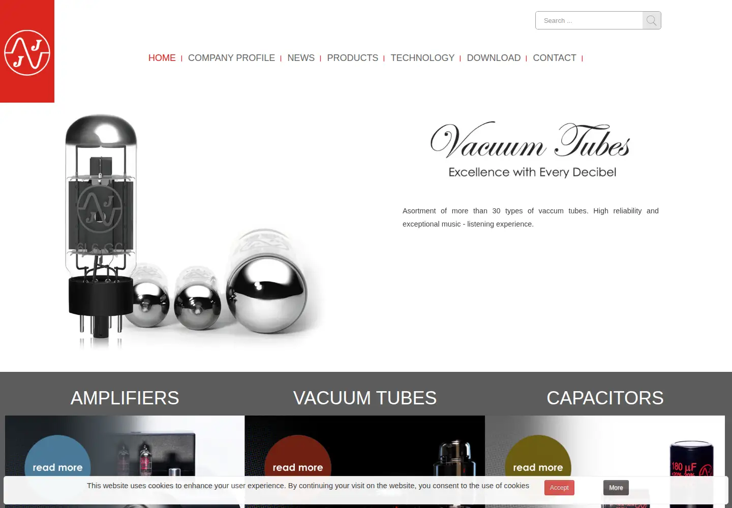 Captured homepage of jj-electronic.com in the current scan