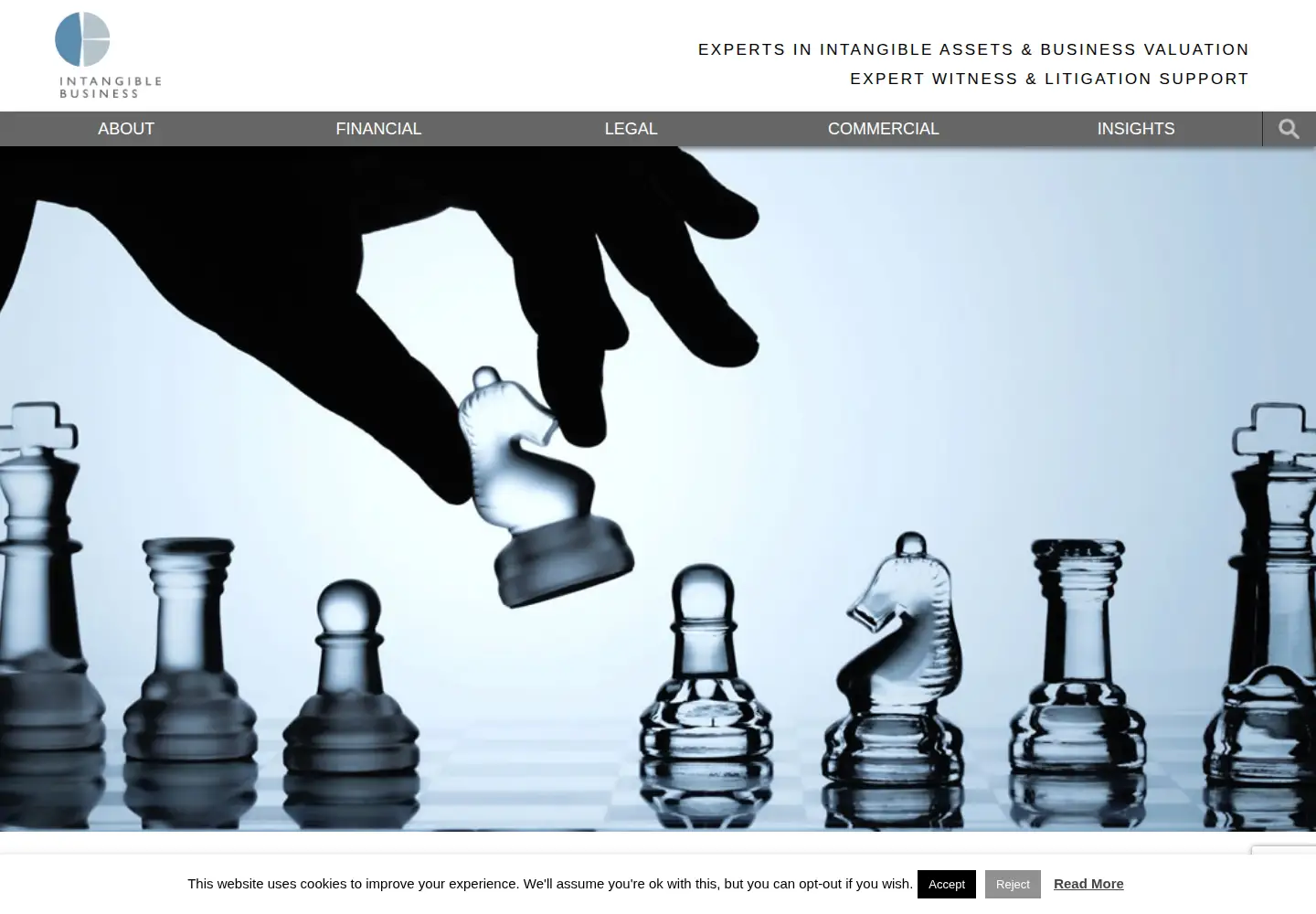 Captured homepage of intangiblebusiness.com in the current scan