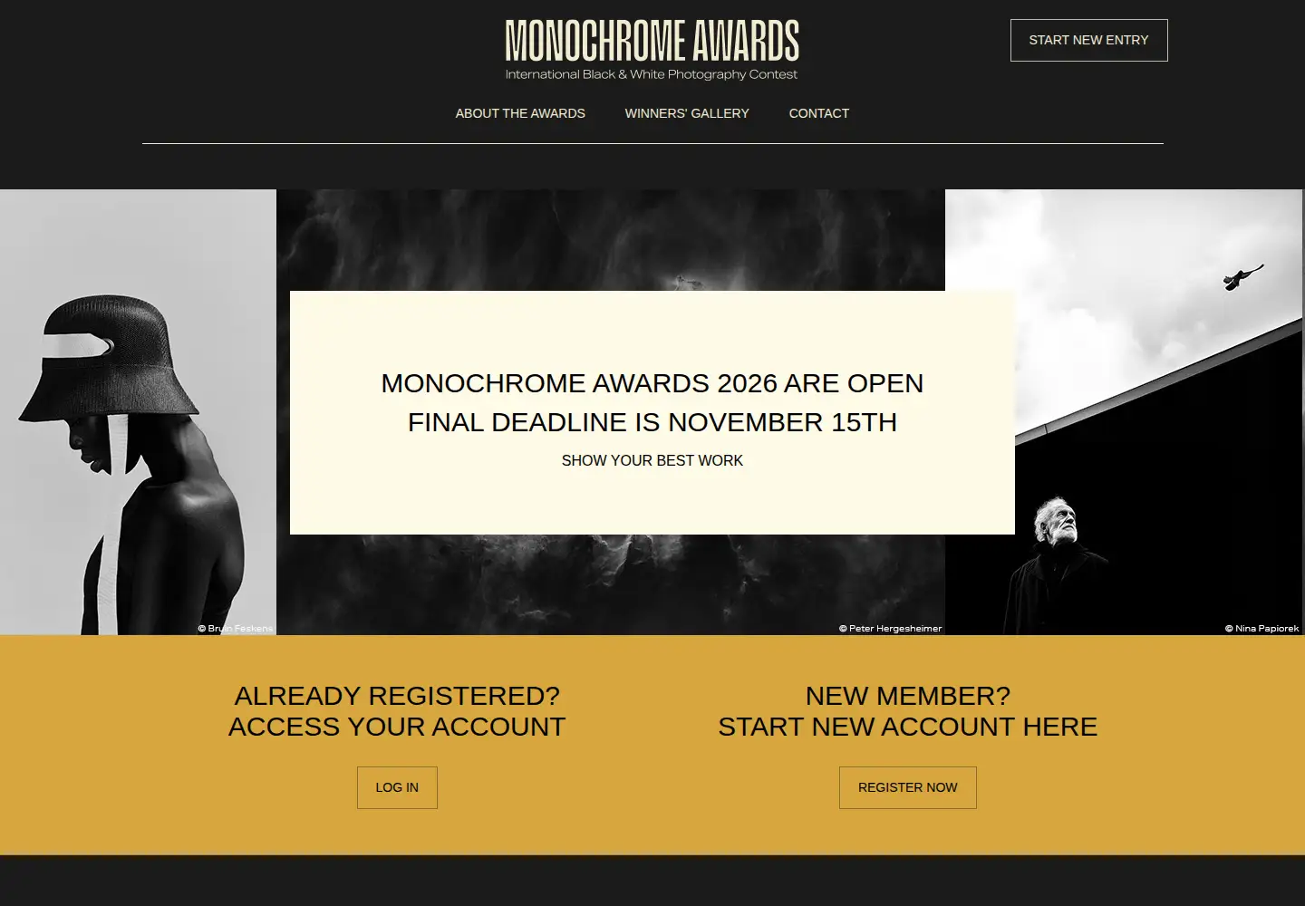 Screenshot of monoawards.com