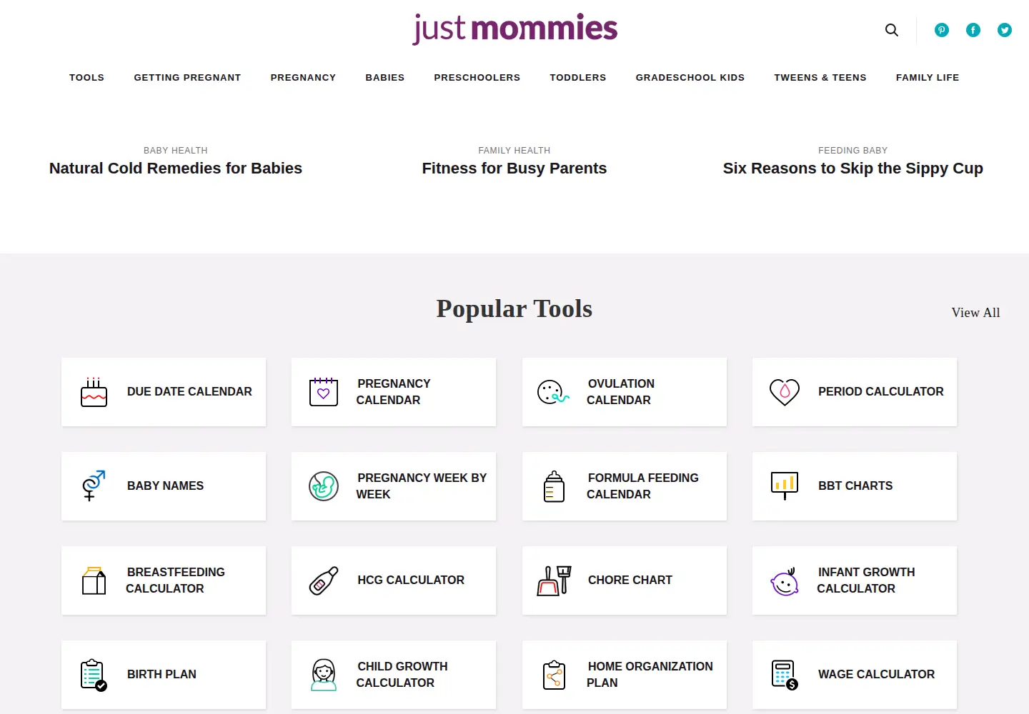 Captured homepage of justmommies.com in the current scan
