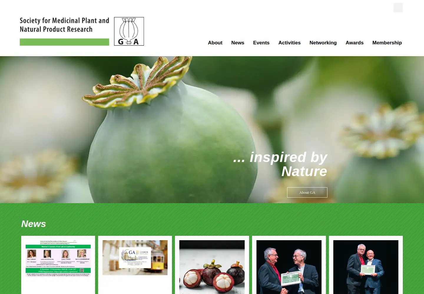 Screenshot of ga-online.org