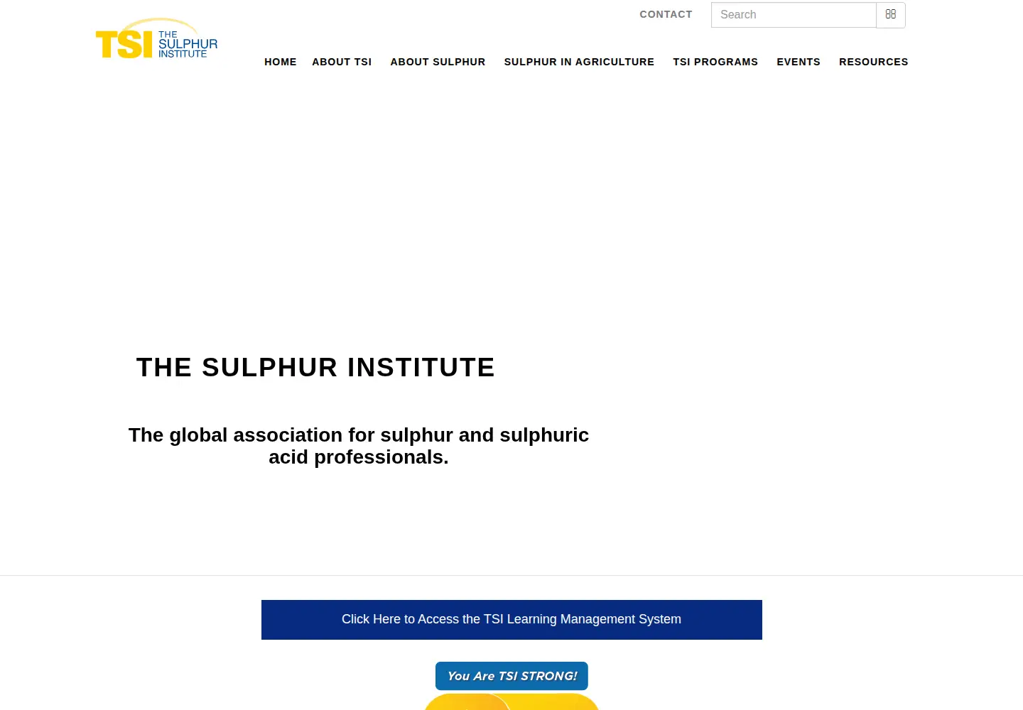 Screenshot of sulphurinstitute.org