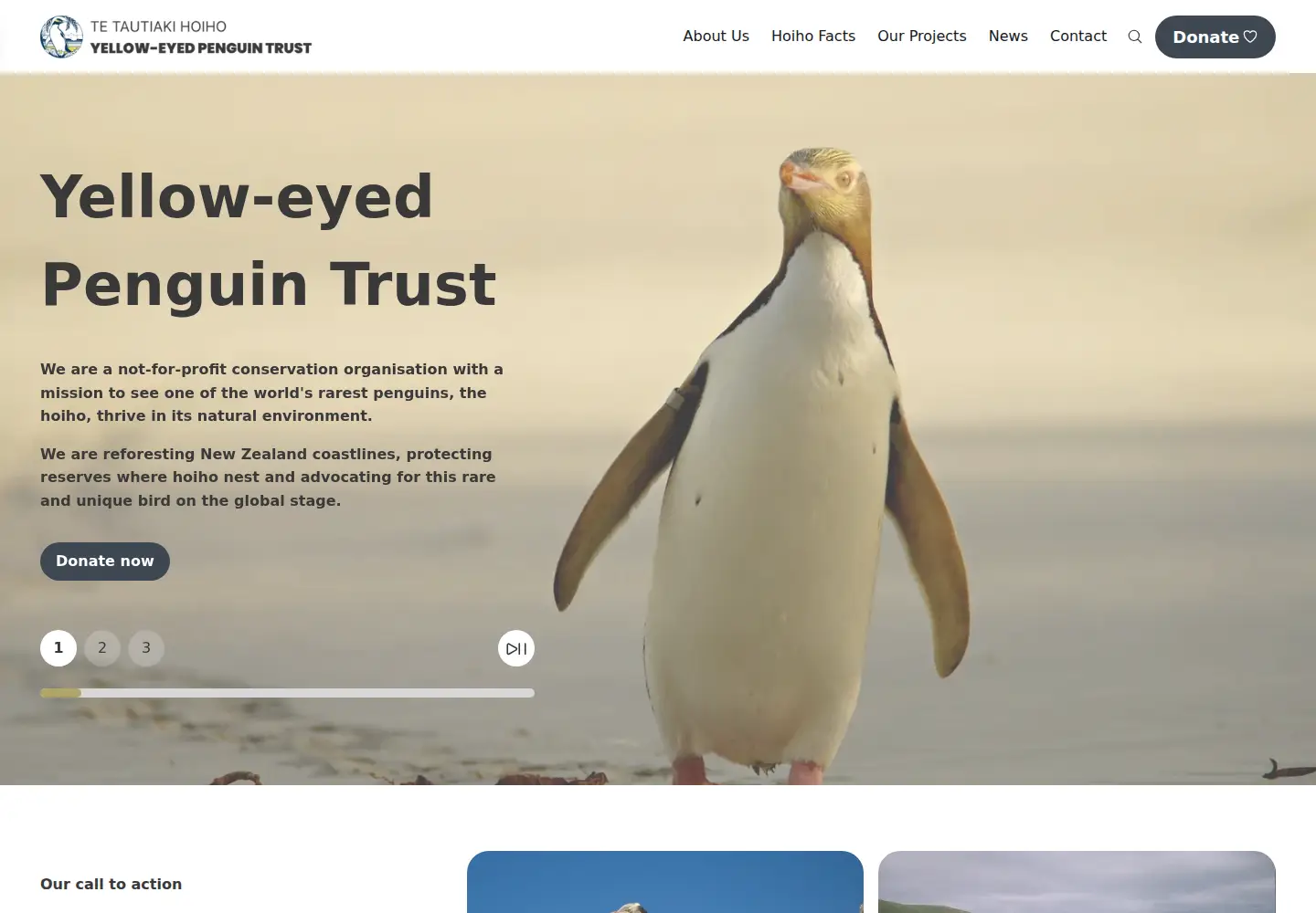 Captured homepage of yellow-eyedpenguin.org.nz in the current scan