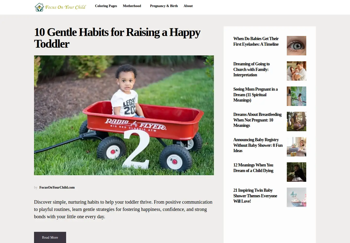 Captured homepage of focusonyourchild.com in the current scan