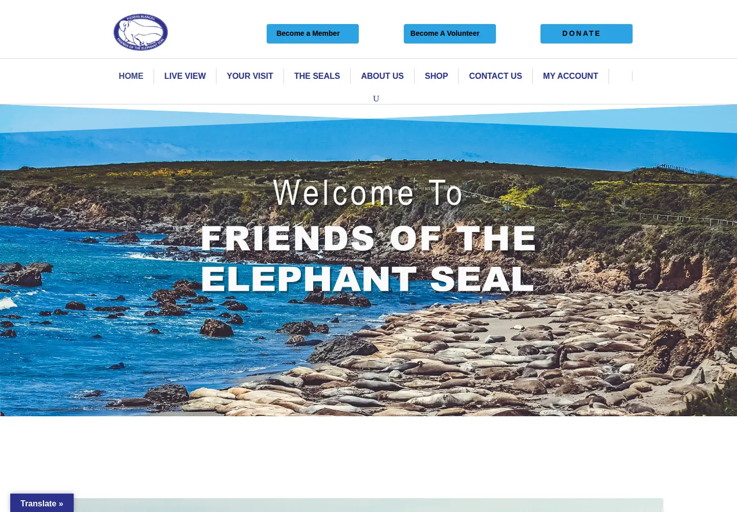 Screenshot of elephantseal.org