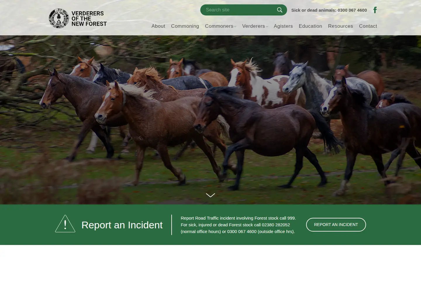 Screenshot of verderers.org.uk