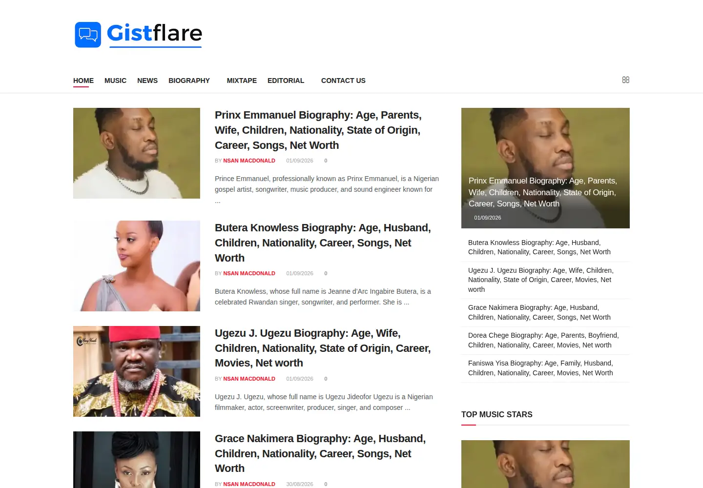 Screenshot of gistflare.com.ng
