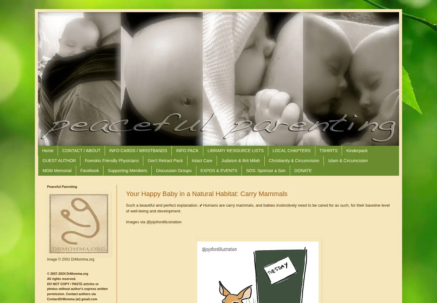 Captured homepage of drmomma.org in the current scan