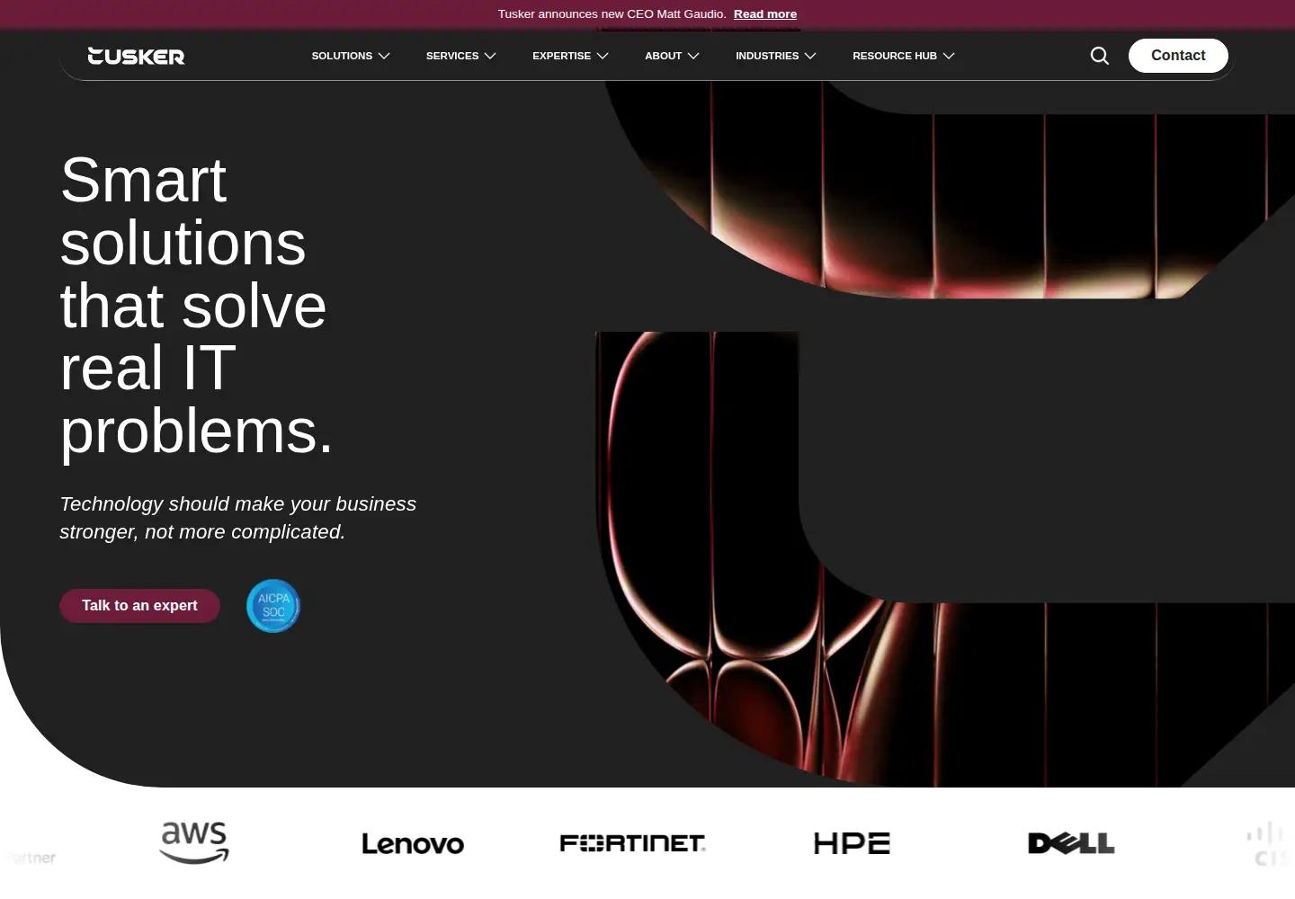 Captured homepage of gomindsight.com in the current scan