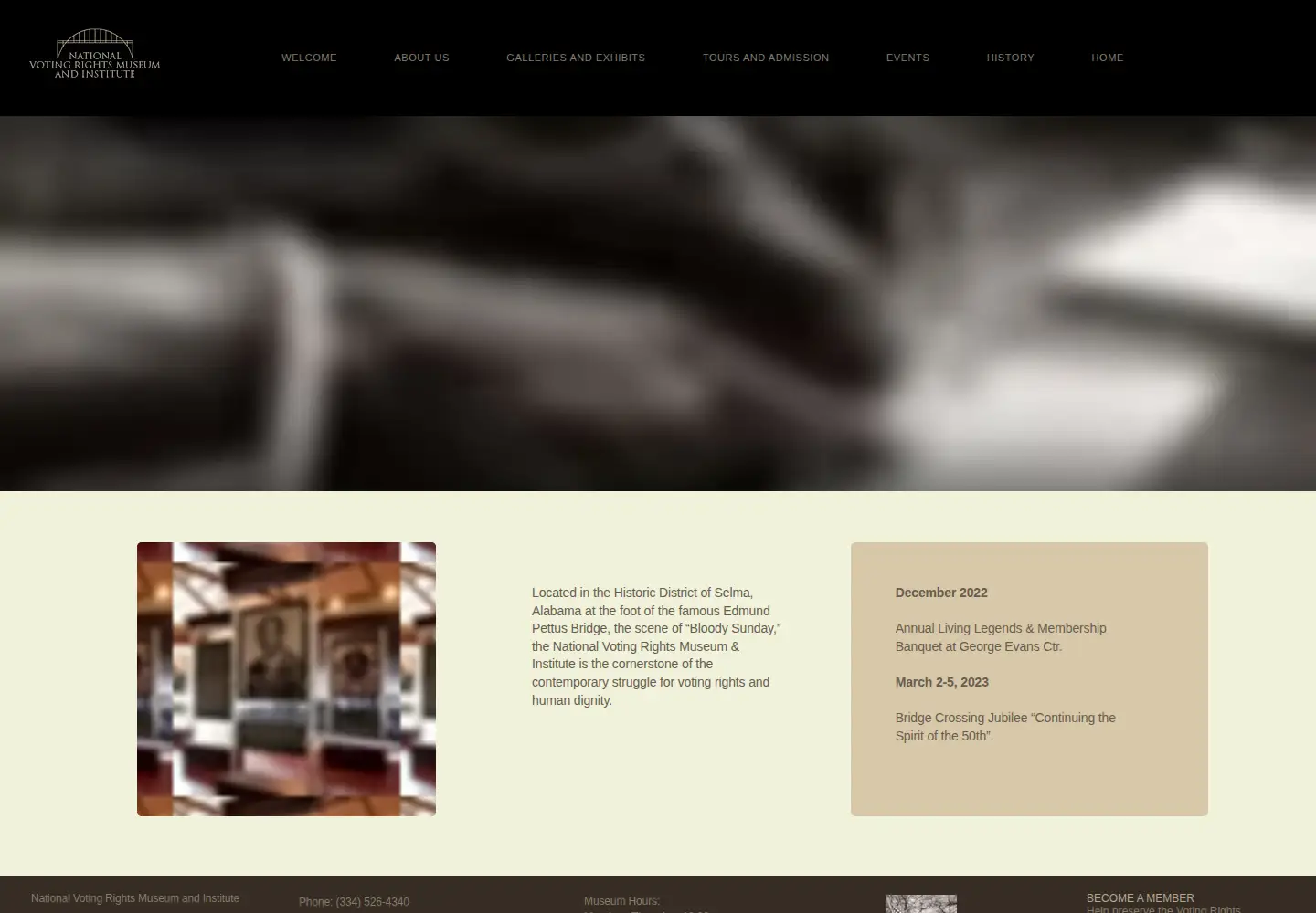 Screenshot of nvrmi.com