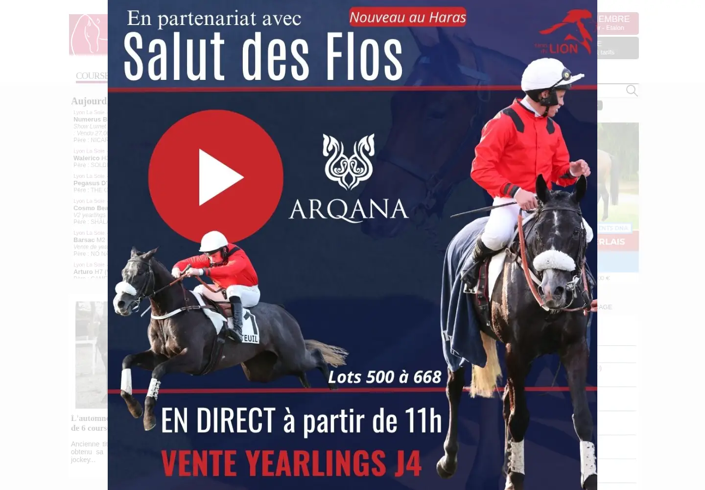 Captured homepage of france-sire.com in the current scan