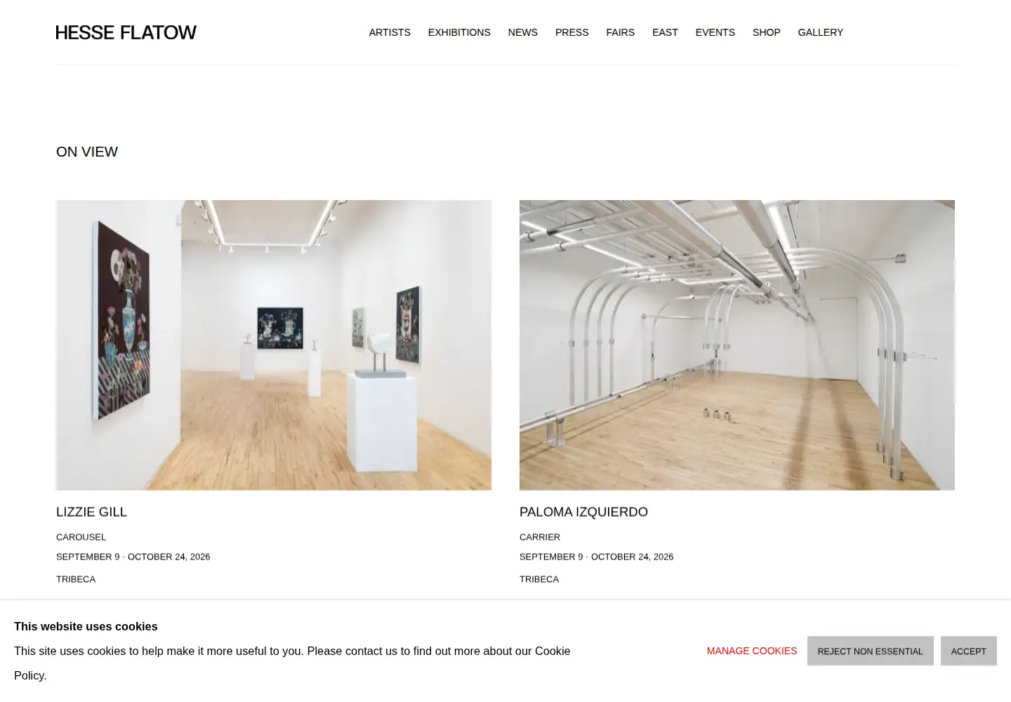 Captured homepage of hesseflatow.com in the current scan