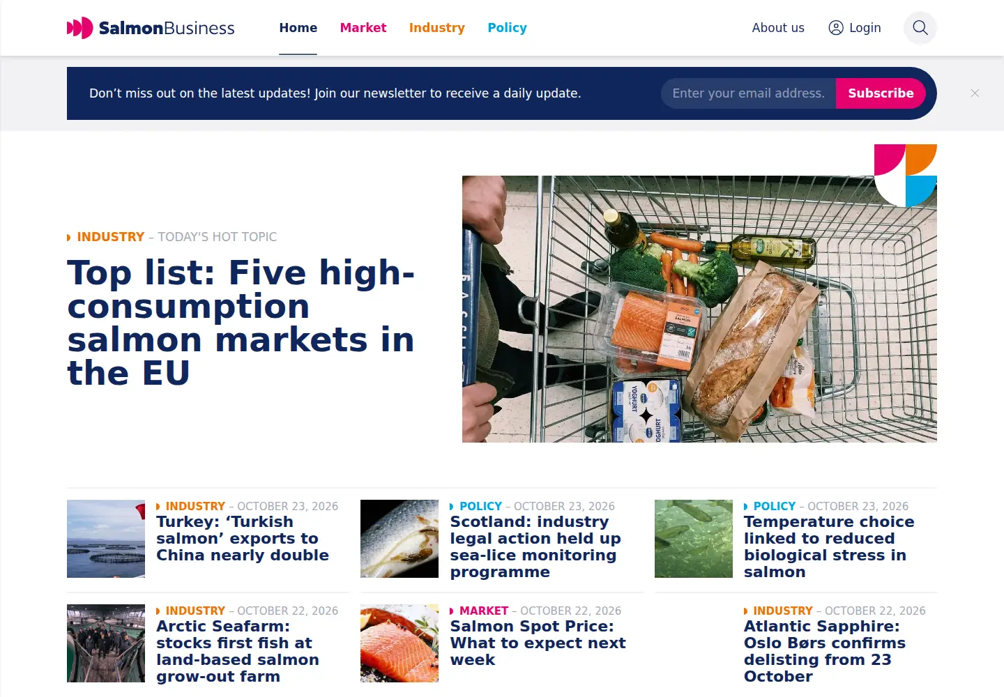 Screenshot of salmonbusiness.com