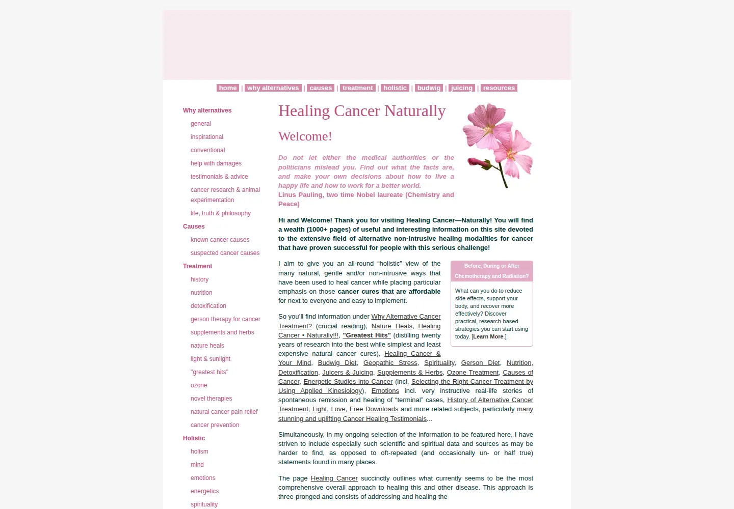 Captured homepage of healingcancernaturally.com in the current scan