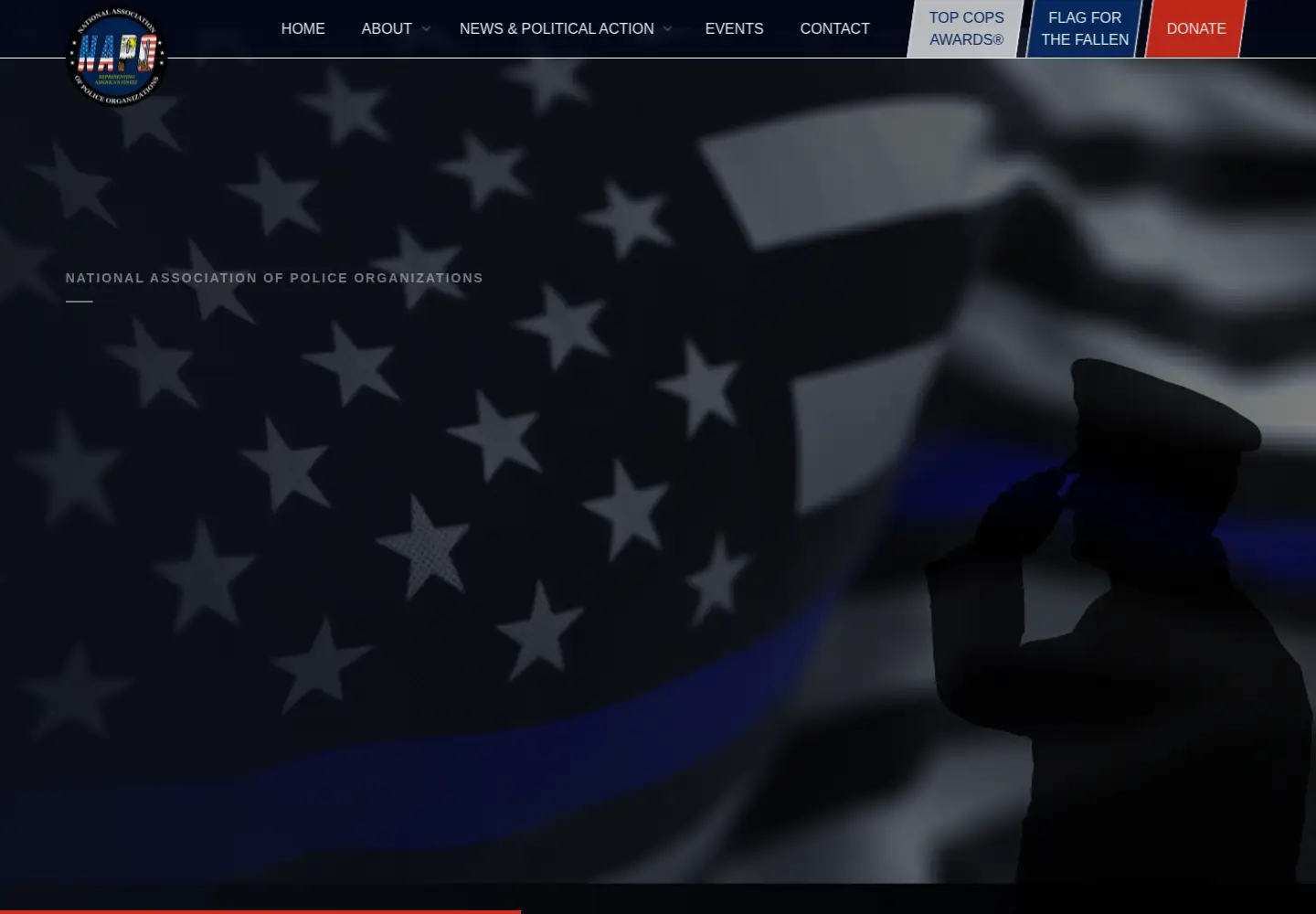 Captured homepage of napo.org in the current scan