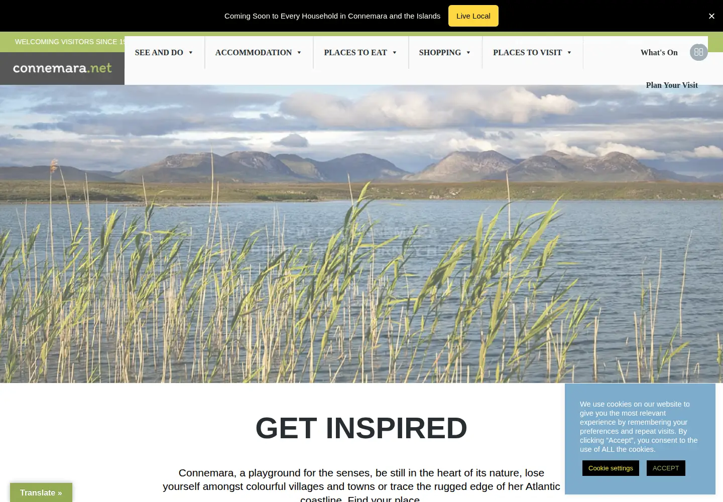 Screenshot of connemara.net