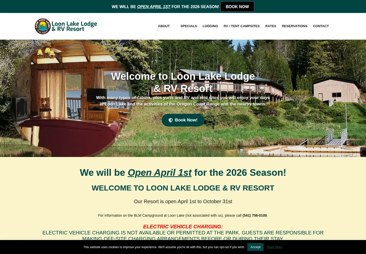 Captured homepage of loonlakerv.com in the current scan