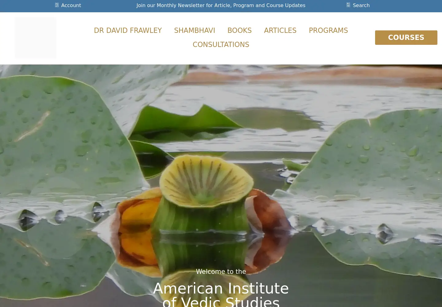 Screenshot of vedanet.com