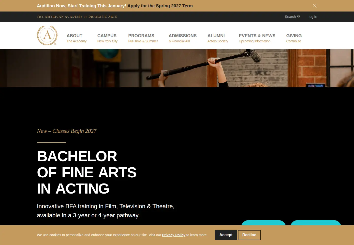 Screenshot of aada.edu