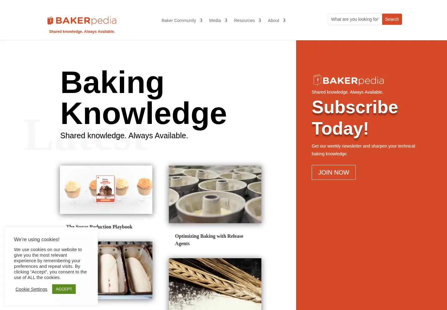 Screenshot of bakerpedia.com