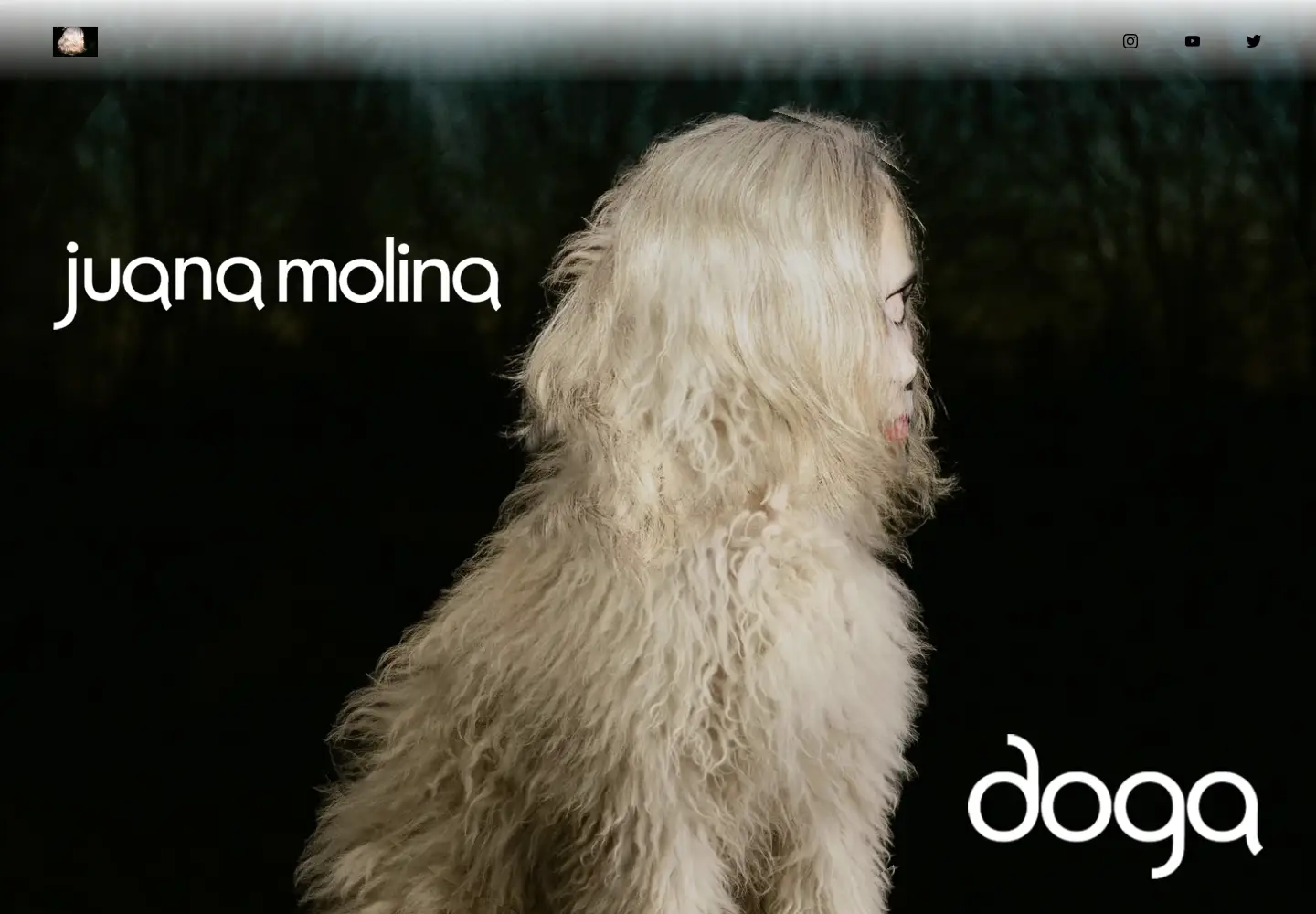 Screenshot of juanamolina.com