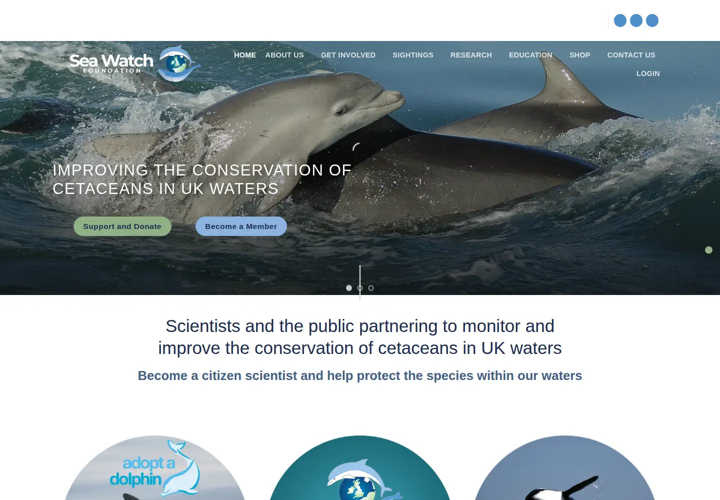 Screenshot of seawatchfoundation.org.uk