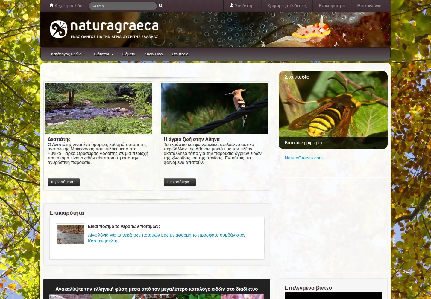 Captured homepage of naturagraeca.com in the current scan