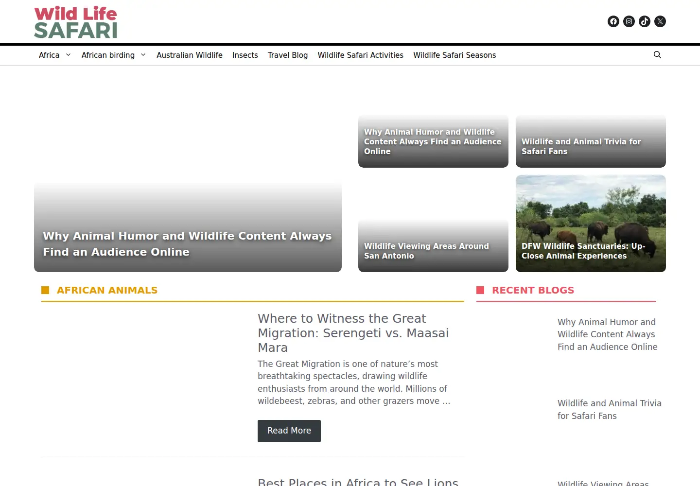 Captured homepage of wildlifesafari.info in the current scan