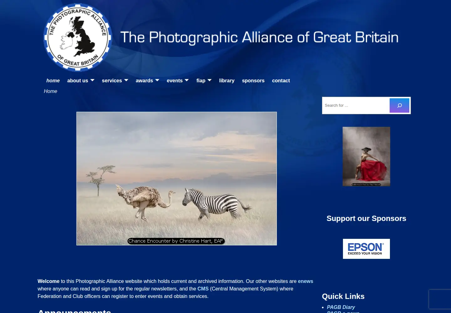 Captured homepage of thepagb.org.uk in the current scan