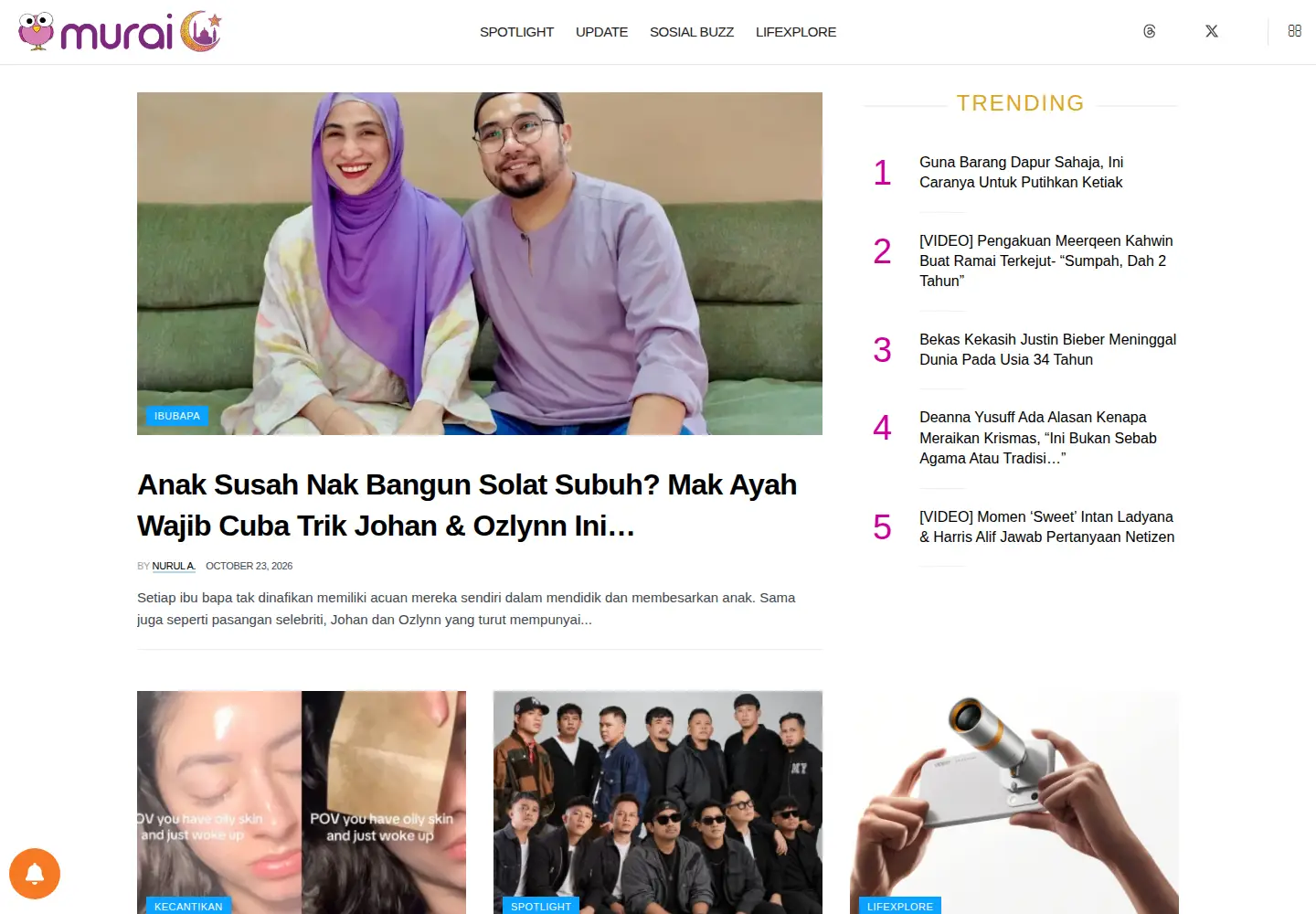 Screenshot of wanista.com